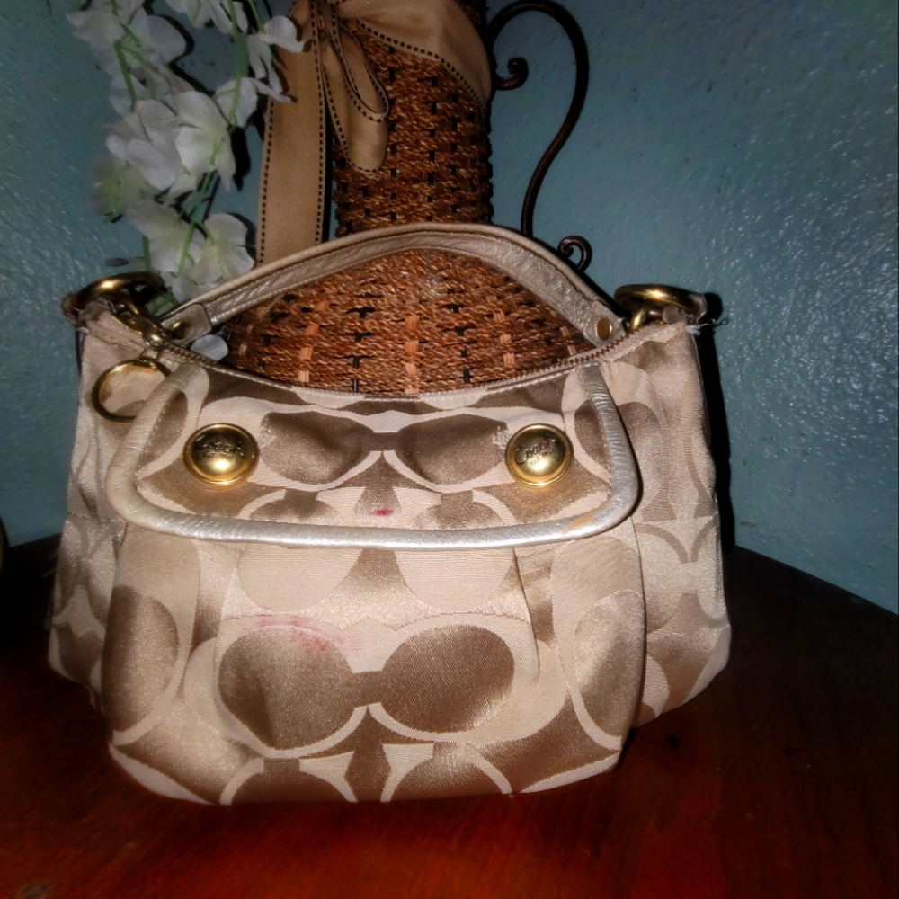 Coach small bag